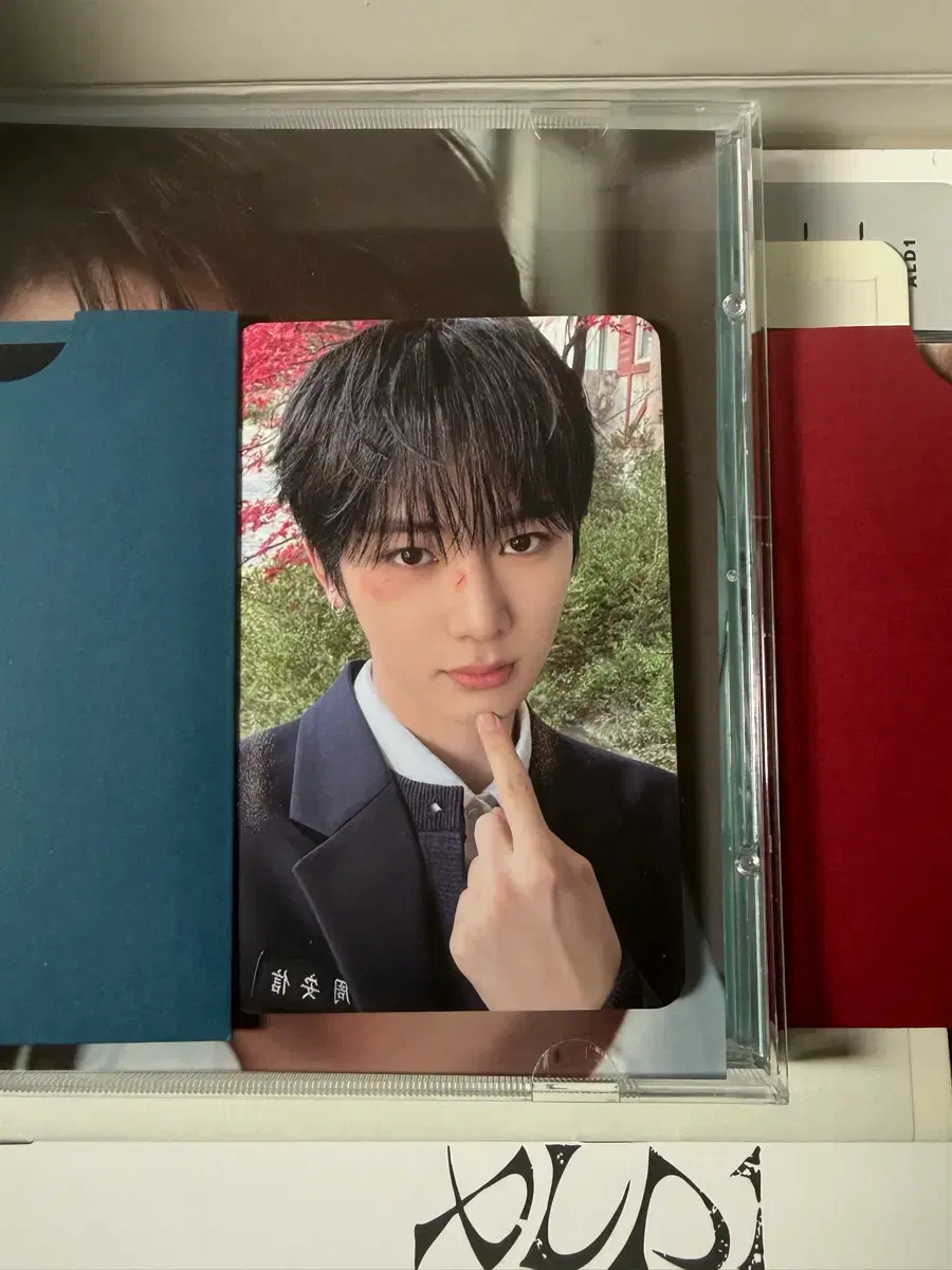 thumbnail-1